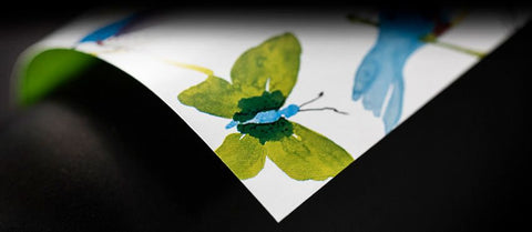 Birds & Blooms Inpakpapier